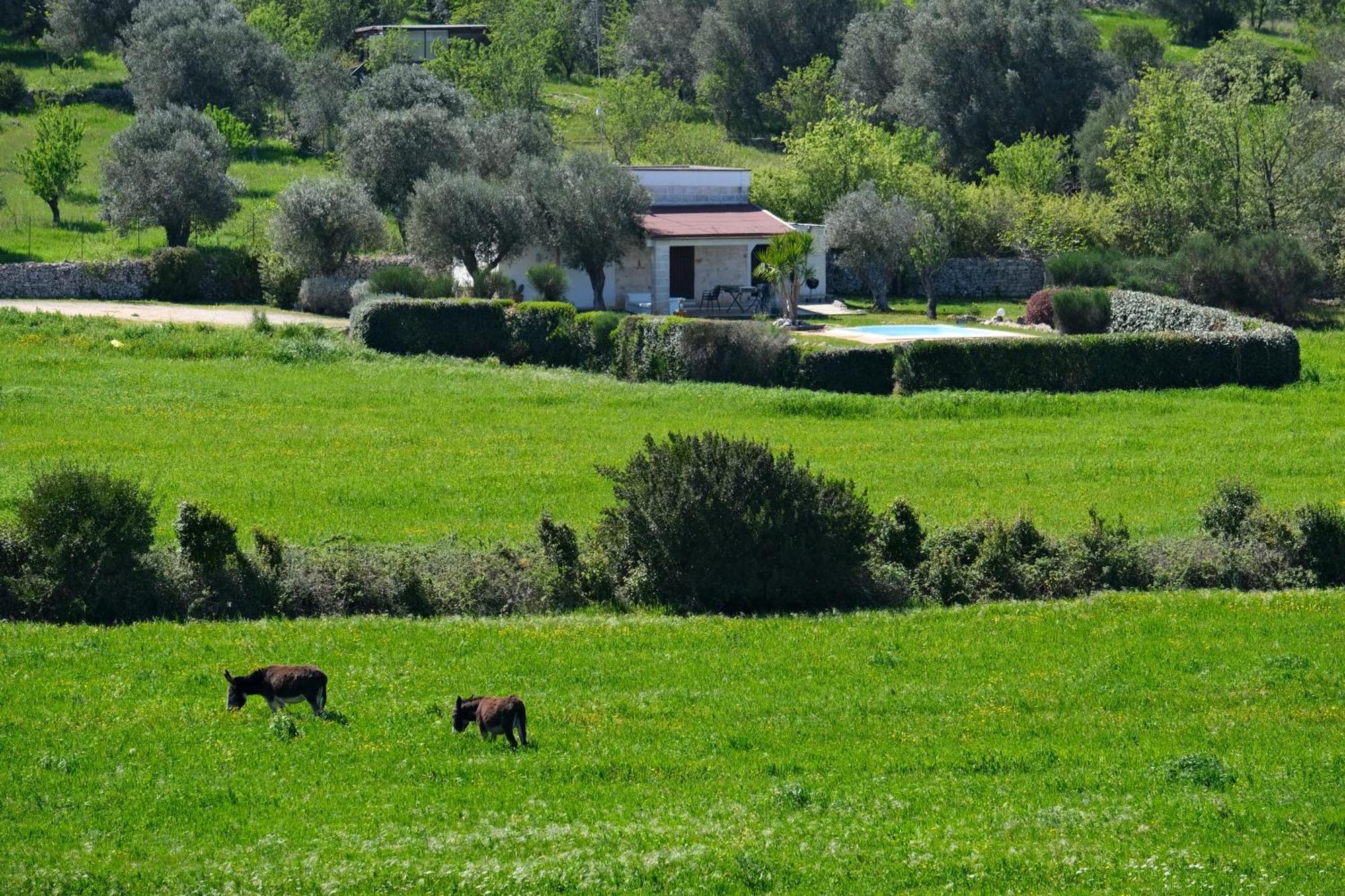 Terra Sessana Ville E Trullo Con Piscina Privata Ostuni Exterior foto